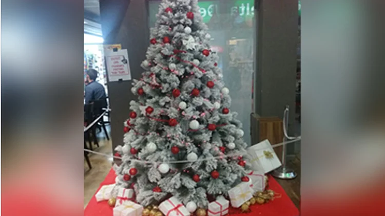 רב בטכניון נגד הצבת עץ אשוח, סטודנטים בתגובה: "פגיעה בחופש הביטוי" | חדשות 13