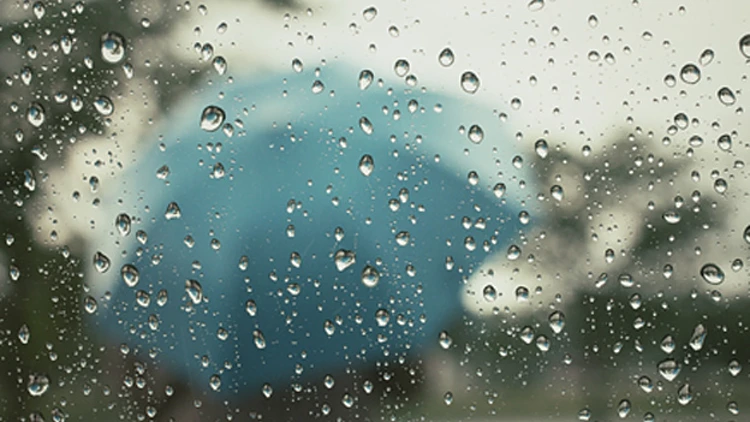 הגשם שוב איתנו (rf123)