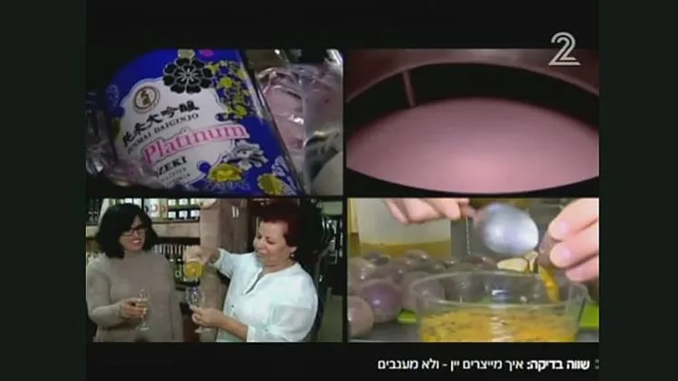שווה בדיקה: איך מייצרים יין? | חדשות 13