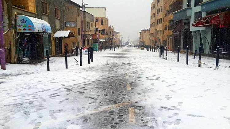 צילום: יוני לאביץ