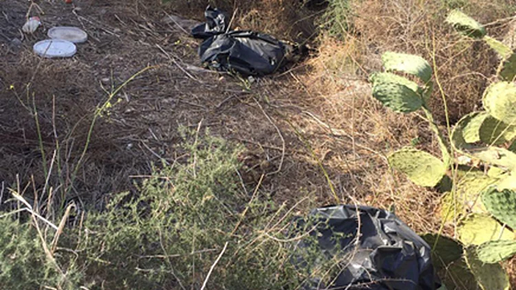 יער בן שמן: מזעזע – פגרי כלבים בשקיות זבל | חדשות 13