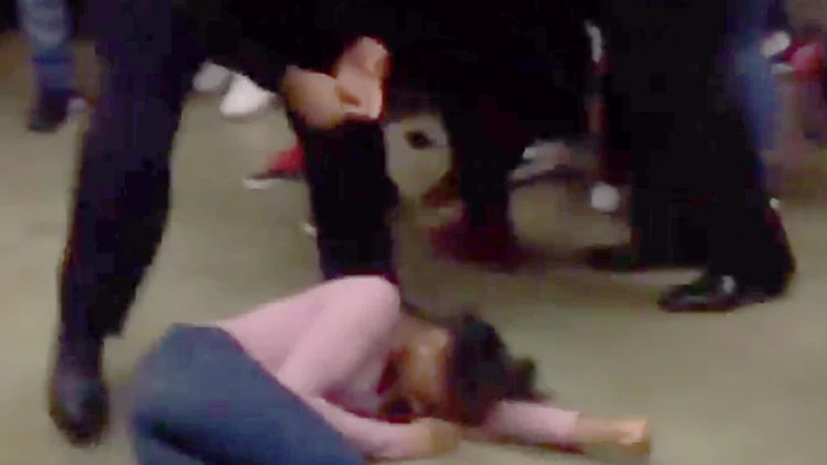 תיעוד: שוטר הכה תלמידת תיכון