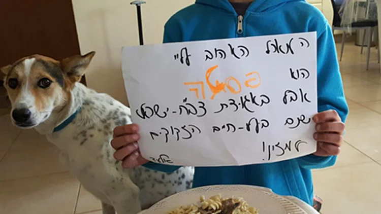 אלעד ואלפא