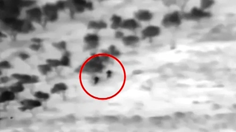 תצפיתניות חושפות: מסכלות פיגועים עם מצלמה | חדשות 13