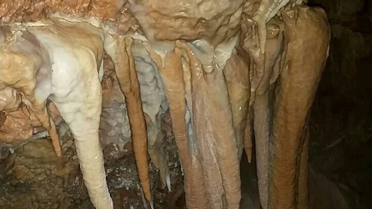 צפו: מצבור נטיפים מרהיב