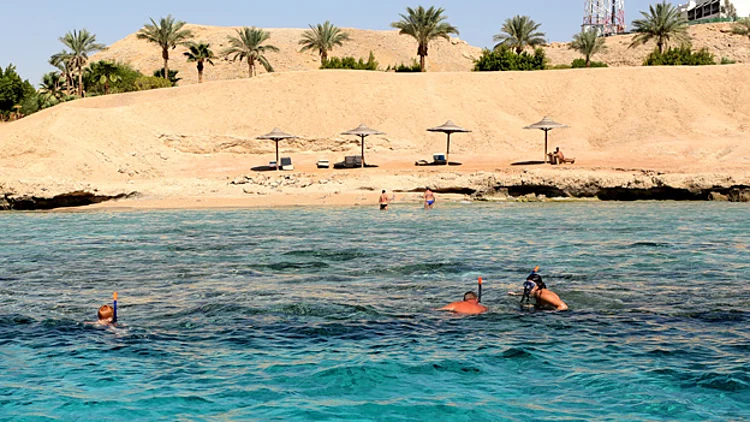 "לא מפחדים". סיני (ארכיון)