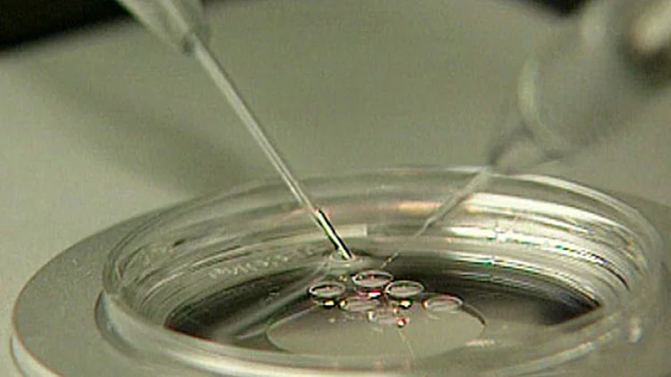 אילוסטרציה