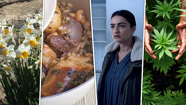 8 דברים שאסור לפספס בסוף שבוע חורפי | חדשות 13