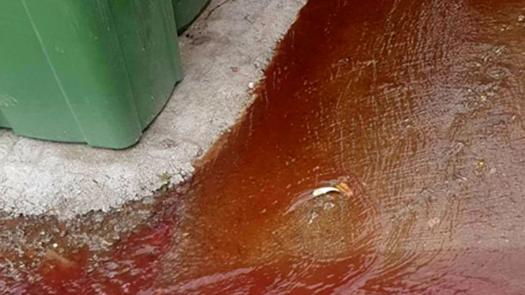 שפרעם: דם זורם ברחוב, התושבים חוששים | חדשות 13