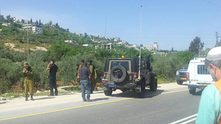 שילה. ארכיון