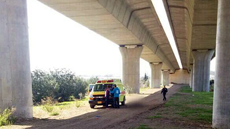 הגשר ממנו נפל הרץ, הבוקר