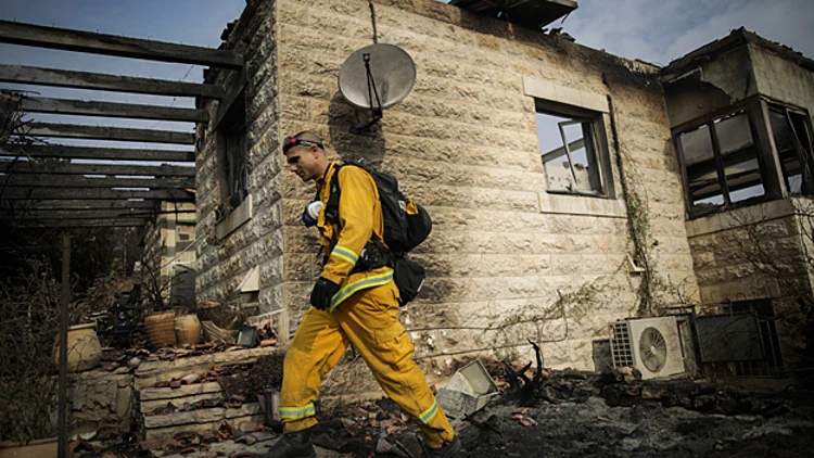 השריפה בנטף, ארכיון