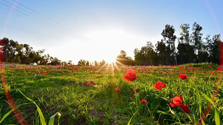 מזג האוויר: בהיר וקריר | חדשות 13