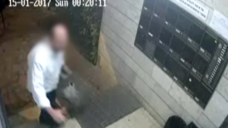 רוצח חתולים בירושלים