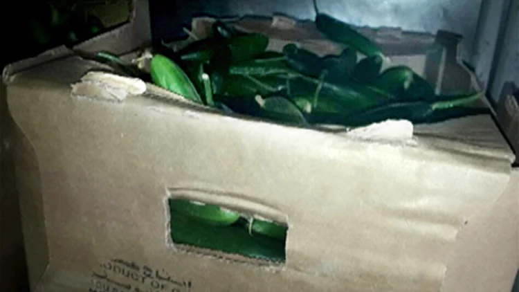 מחאה בצה"ל: "לא נאכל ירקות מעזה" | חדשות 13