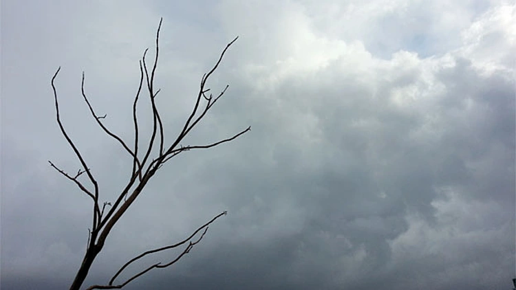 קר מהריגל לעונה