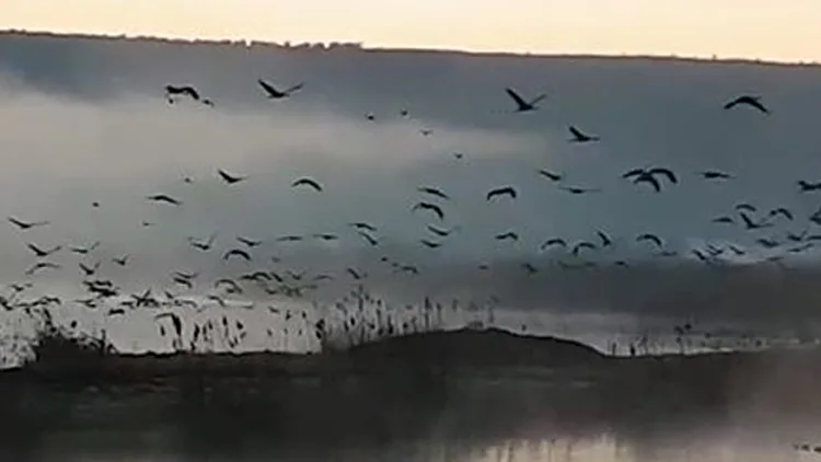 האביב מגיע: אלפים טיילו ברחבי הארץ | חדשות 13