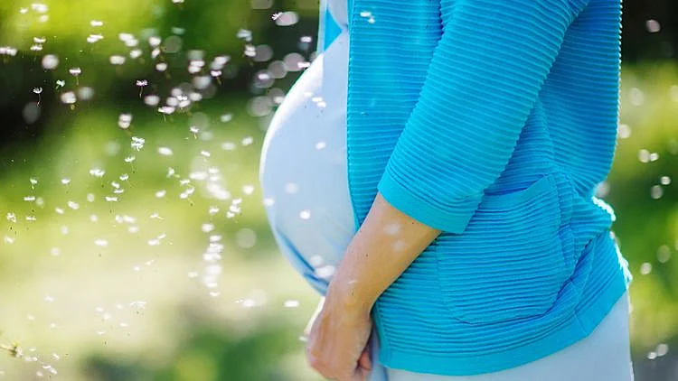 כל מה שצריך לדעת על פונדקאות בישראל