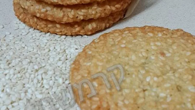 שומשומיות | רשת 13