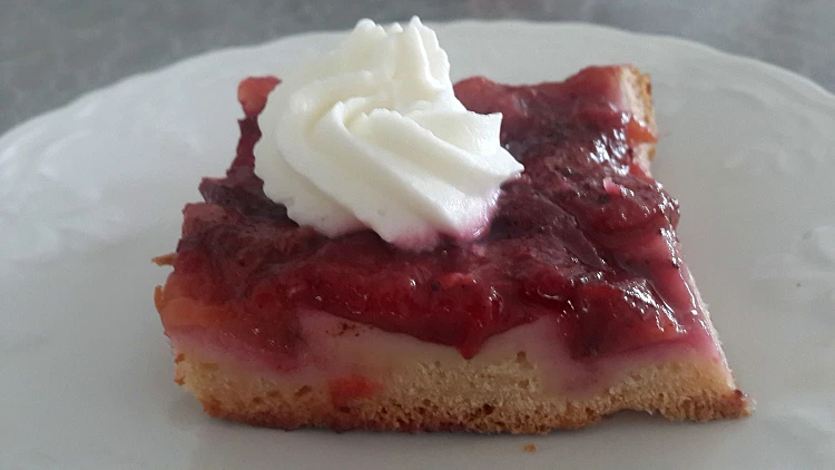 עוגת שזיפים | רשת 13