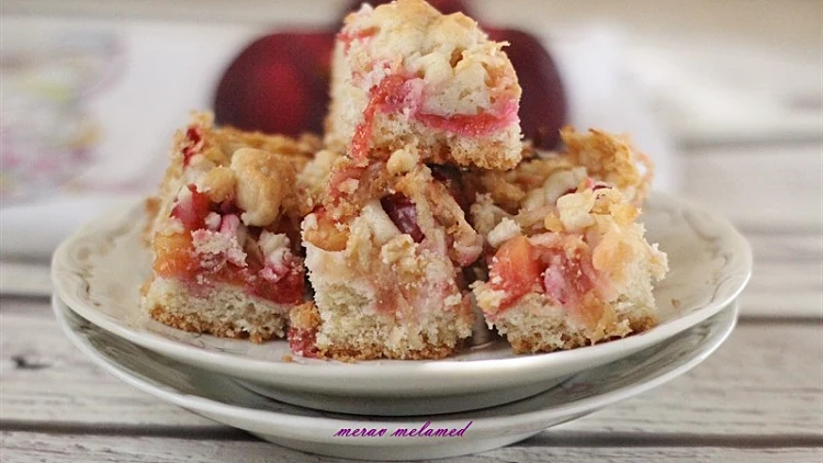 ריבועי פירות ופירורים | רשת 13