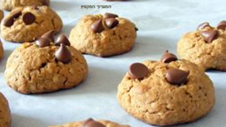 עוגיות שוקולד צ'יפס ושיבולת שועל | רשת 13