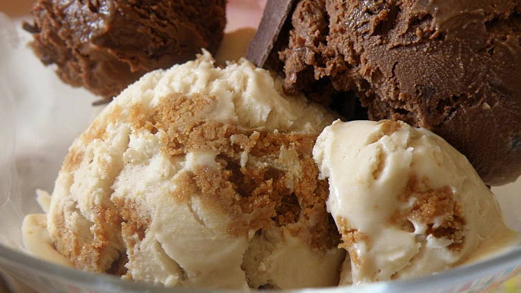 גלידה ביתית ללא מכונה | רשת 13