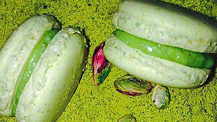 מקרונים פיסטוק | רשת 13