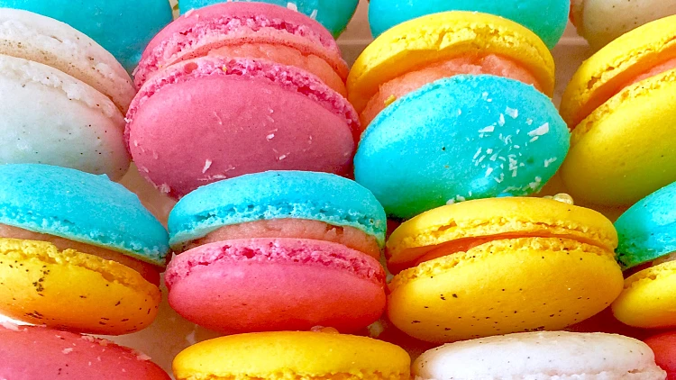 מקרונים | רשת 13