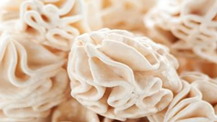 עוגיות סולת  אפויות | רשת 13