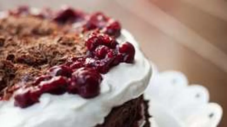 עוגת היער השחור | רשת 13