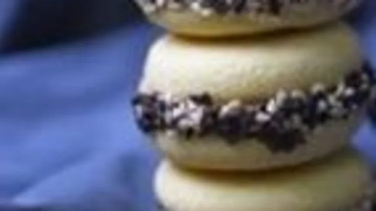 אלפחורס | רשת 13