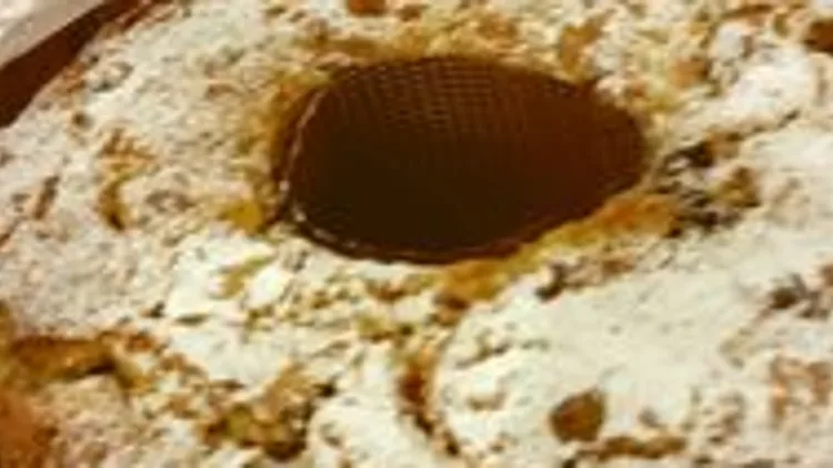 עוגת גזר והפתעות | רשת 13