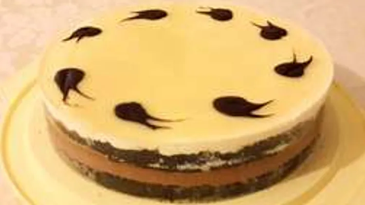 עוגת אופרה | רשת 13