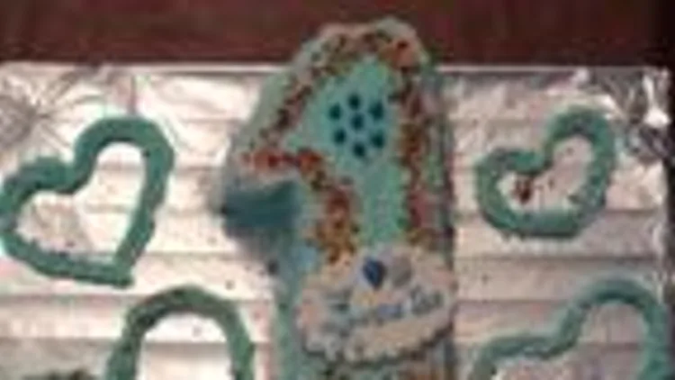 עוגת יום הולדת שנה | רשת 13