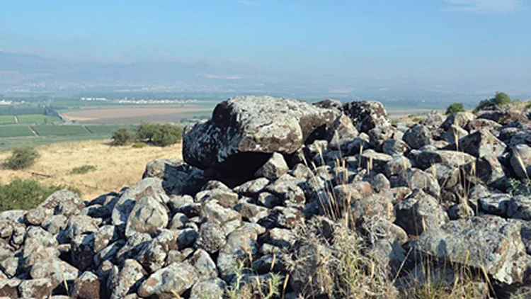 מבנה נדיר שמשקלו כ-50 טון