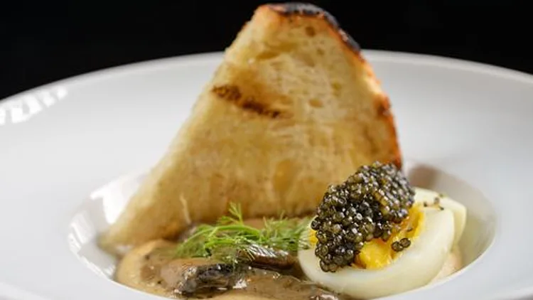 חומוס פטריות צרפתי | רשת 13