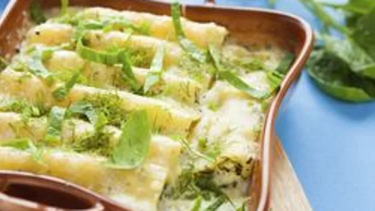 פסטה קנלוני ברוטב שמנת | רשת 13