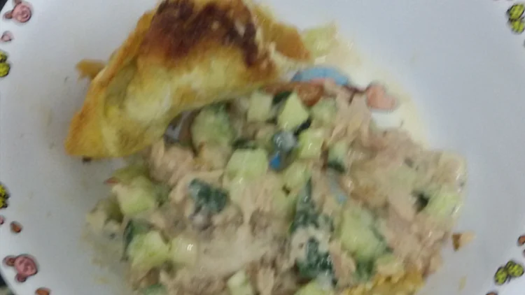 סלט מלפפונים וטונה | רשת 13