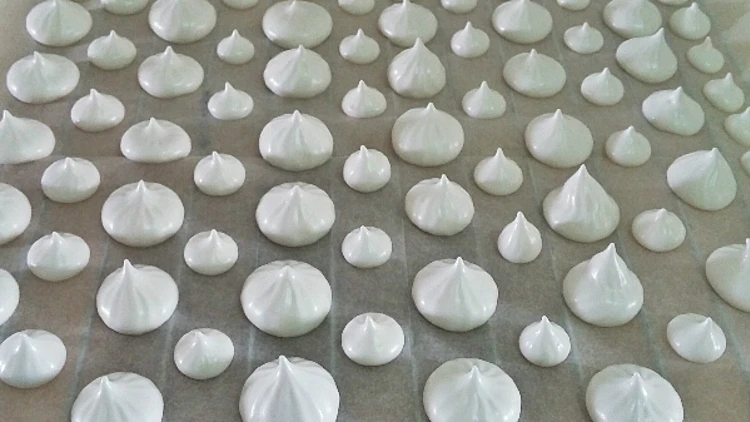 נשיקות טבעוניות | רשת 13