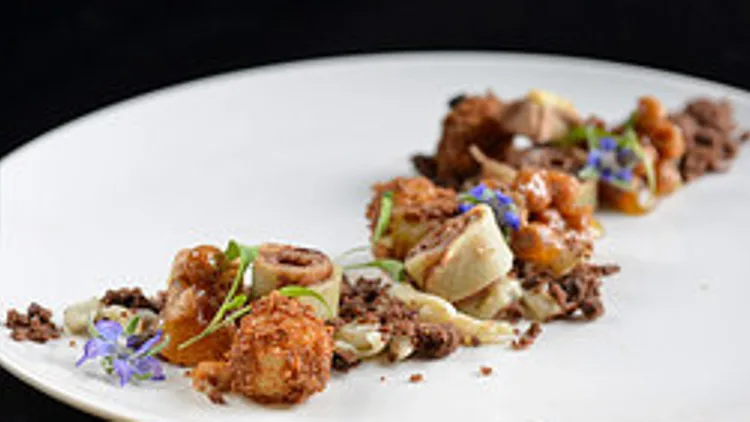 שביל החיים | רשת 13