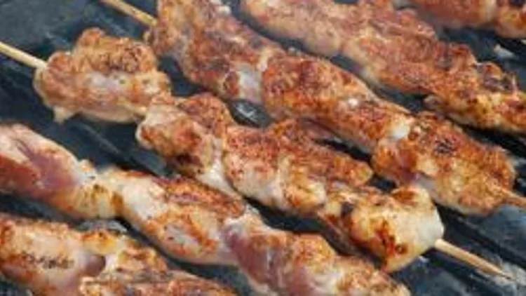 שיפודי פרגית ממכרים | רשת 13