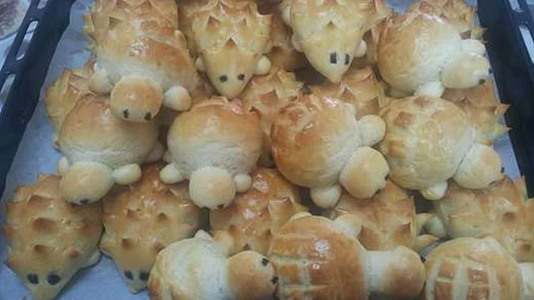 לחמניות קיפוד | רשת 13