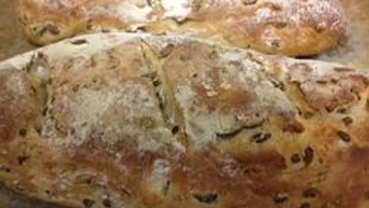 לחם זיתים | רשת 13