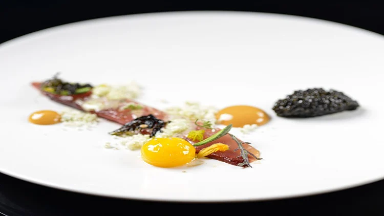 סשימי של גמר / אור גינסברג