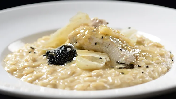 ריזוטו לבן עם פלמידה בחמאת שום וטפנד שחור  / יעל בגינסקי