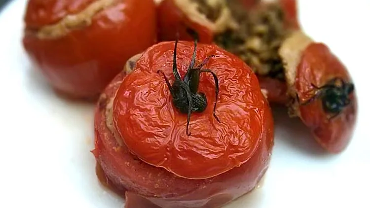 עגבניות ממולאות | רשת 13