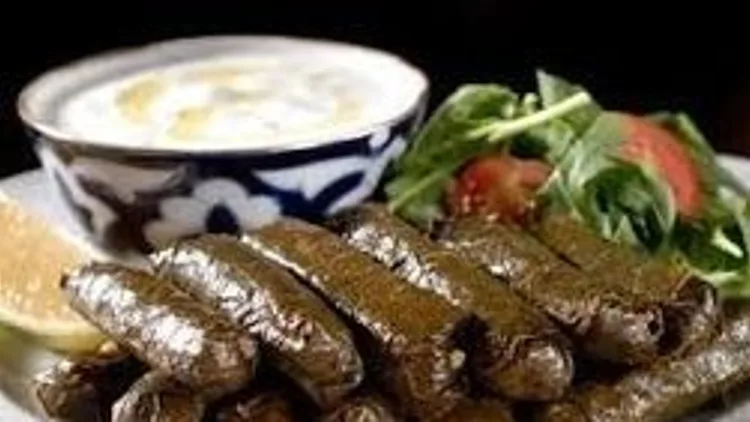 עלי גפן ממולאים | רשת 13