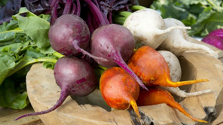 ראשונות: טרין סלקים צבעוניים עם סלט עלי סלק | רשת 13