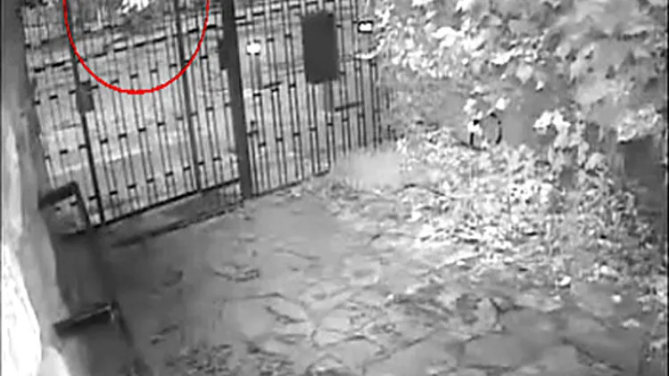 תיירת מותקפת בירושלים ע"י שודד